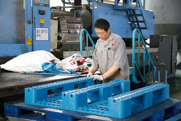 الصين Shandong Liyang Plastic Molding Co., Ltd.